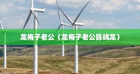 龙梅子老公（龙梅子老公陈晓龙）