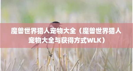 魔兽世界猎人宠物大全（魔兽世界猎人宠物大全与获得方式WLK）