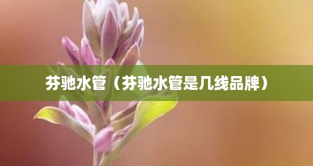 芬驰水管（芬驰水管是几线品牌）
