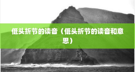 低头折节的读音（低头折节的读音和意思）
