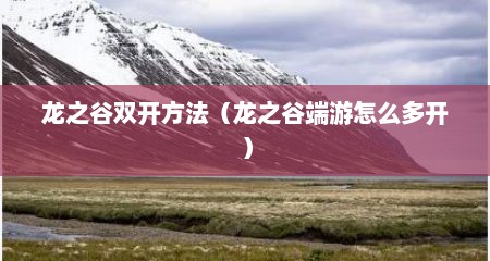 龙之谷双开方法（龙之谷端游怎么多开）