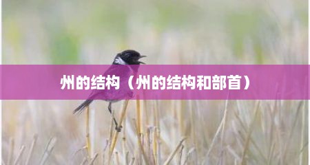 州的结构（州的结构和部首）