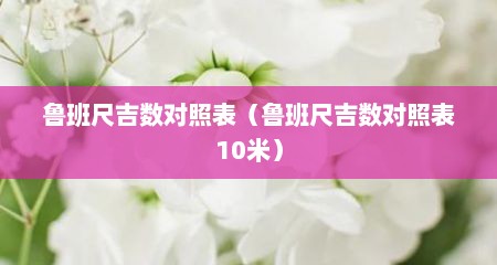 鲁班尺吉数对照表（鲁班尺吉数对照表10米）