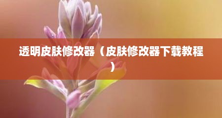 透明皮肤修改器（皮肤修改器下载教程）