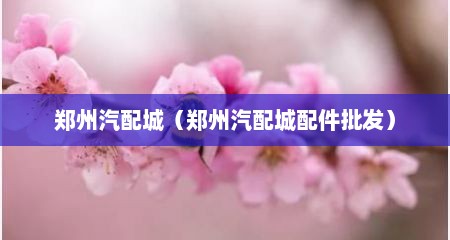 郑州汽配城（郑州汽配城配件批发）