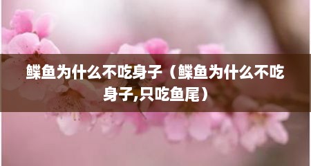 鲽鱼为什么不吃身子（鲽鱼为什么不吃身子,只吃鱼尾）
