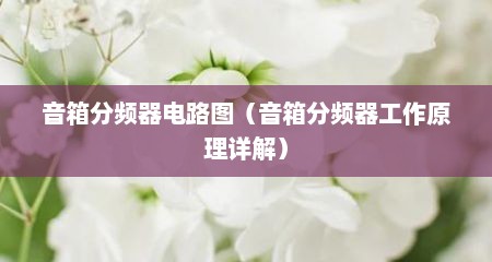 音箱分频器电路图（音箱分频器工作原理详解）