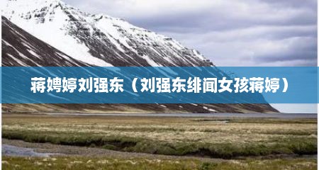 蒋娉婷刘强东（刘强东绯闻女孩蒋婷）