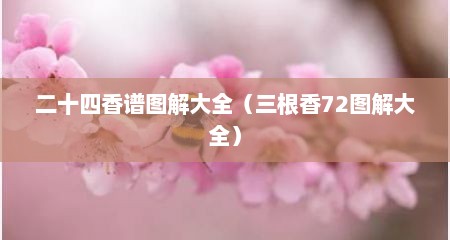 二十四香谱图解大全（三根香72图解大全）