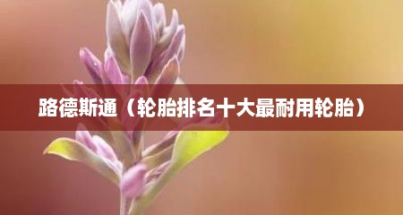 路德斯通（轮胎排名十大最耐用轮胎）