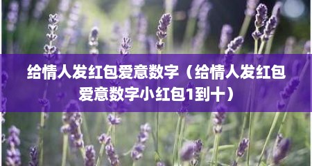 给情人发红包爱意数字（给情人发红包爱意数字小红包1到十）