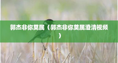 郭杰非你莫属（郭杰非你莫属澄清视频）