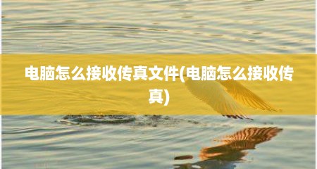 电脑怎么接收传真文件(电脑怎么接收传真)