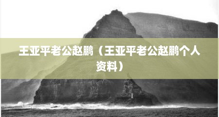 王亚平老公赵鹏（王亚平老公赵鹏个人资料）