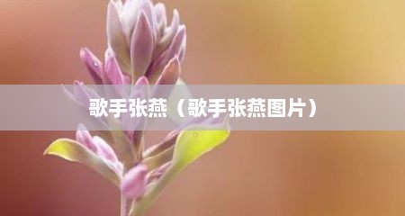 歌手张燕（歌手张燕图片）
