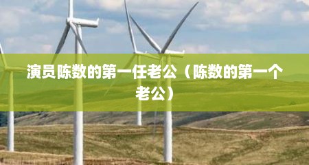 演员陈数的第一任老公（陈数的第一个老公）