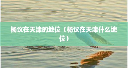杨议在天津的地位（杨议在天津什么地位）