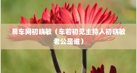 易车网初晓敏（车若初见主持人初晓敏老公是谁）