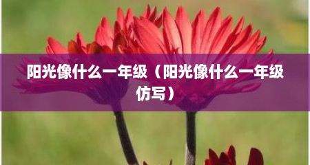 阳光像什么一年级（阳光像什么一年级仿写）