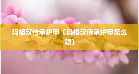 玛格汉传承护甲（玛格汉传承护甲怎么领）