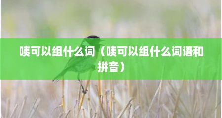 咦可以组什么词（咦可以组什么词语和拼音）