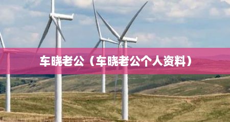 车晓老公（车晓老公个人资料）