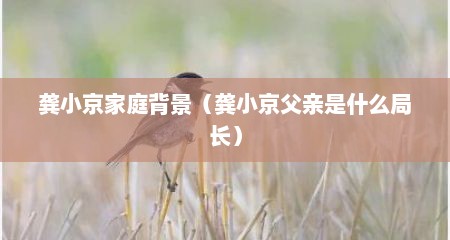龚小京家庭背景（龚小京父亲是什么局长）