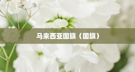 马来西亚国旗（国旗）