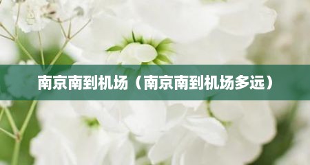 南京南到机场（南京南到机场多远）