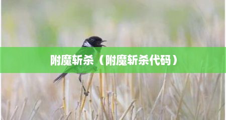 附魔斩杀（附魔斩杀代码）
