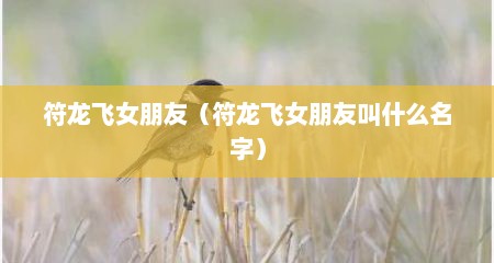 符龙飞女朋友（符龙飞女朋友叫什么名字）