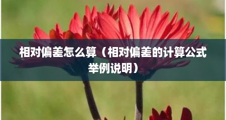 相对偏差怎么算（相对偏差的计算公式举例说明）