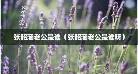 张韶涵老公是谁（张韶涵老公是谁呀）