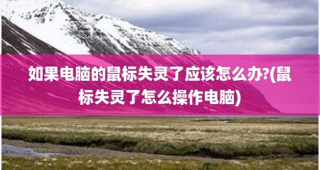 如果电脑的鼠标失灵了应该怎么办?(鼠标失灵了怎么操作电脑)