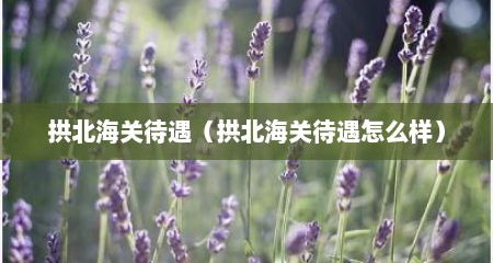 拱北海关待遇（拱北海关待遇怎么样）