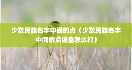 少数民族名字中间的点（少数民族名字中间的点键盘怎么打）