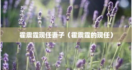 霍震霆现任妻子（霍震霆的现任）