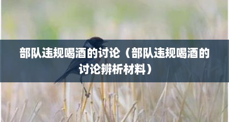 部队违规喝酒的讨论（部队违规喝酒的讨论辨析材料）