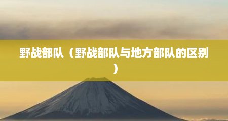 野战部队（野战部队与地方部队的区别）