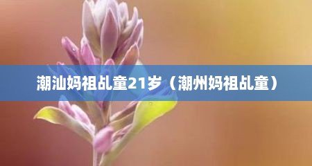 潮汕妈祖乩童21岁（潮州妈祖乩童）