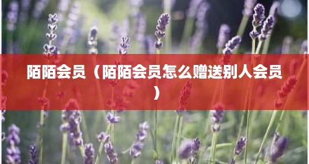 陌陌会员（陌陌会员怎么赠送别人会员）