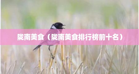陇南美食（陇南美食排行榜前十名）