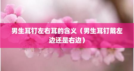 男生耳钉左右耳的含义（男生耳钉戴左边还是右边）