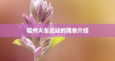 福州火车北站的简单介绍