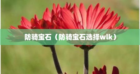 防骑宝石（防骑宝石选择wlk）