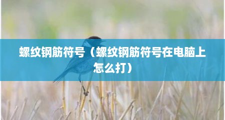 螺纹钢筋符号（螺纹钢筋符号在电脑上怎么打）