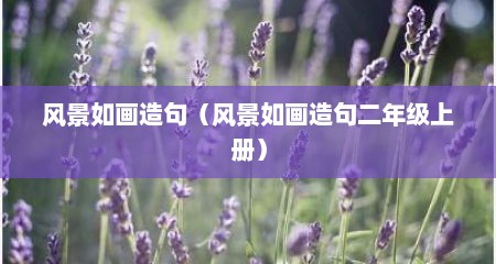 风景如画造句（风景如画造句二年级上册）