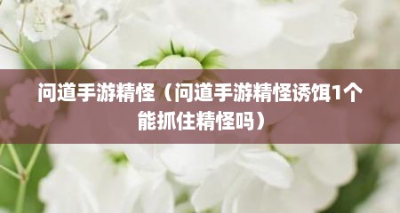 问道手游精怪（问道手游精怪诱饵1个能抓住精怪吗）