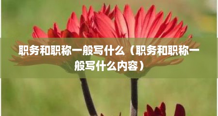 职务和职称一般写什么（职务和职称一般写什么内容）