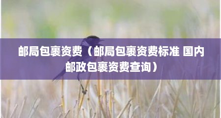 邮局包裹资费（邮局包裹资费标准 国内邮政包裹资费查询）